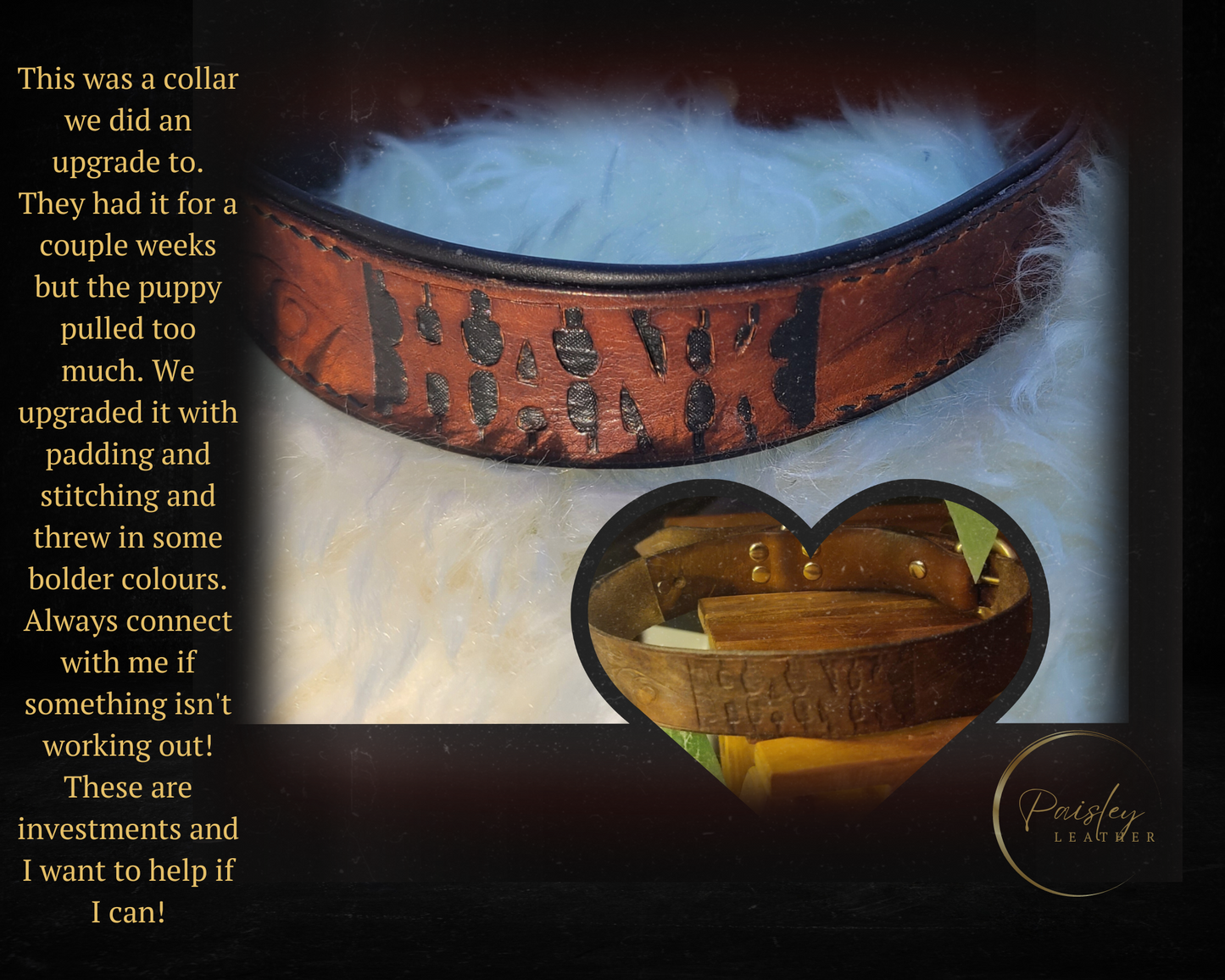 Dog collars