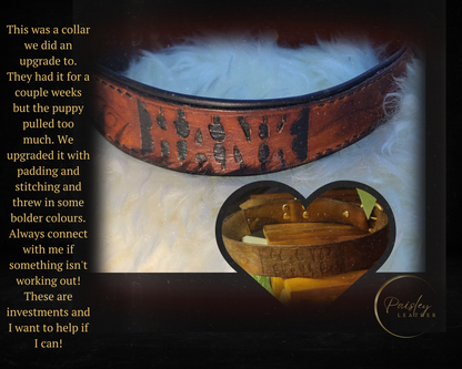 Dog collars
